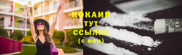 СК Каменск-Шахтинский