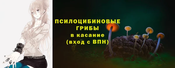 СК Каменск-Шахтинский